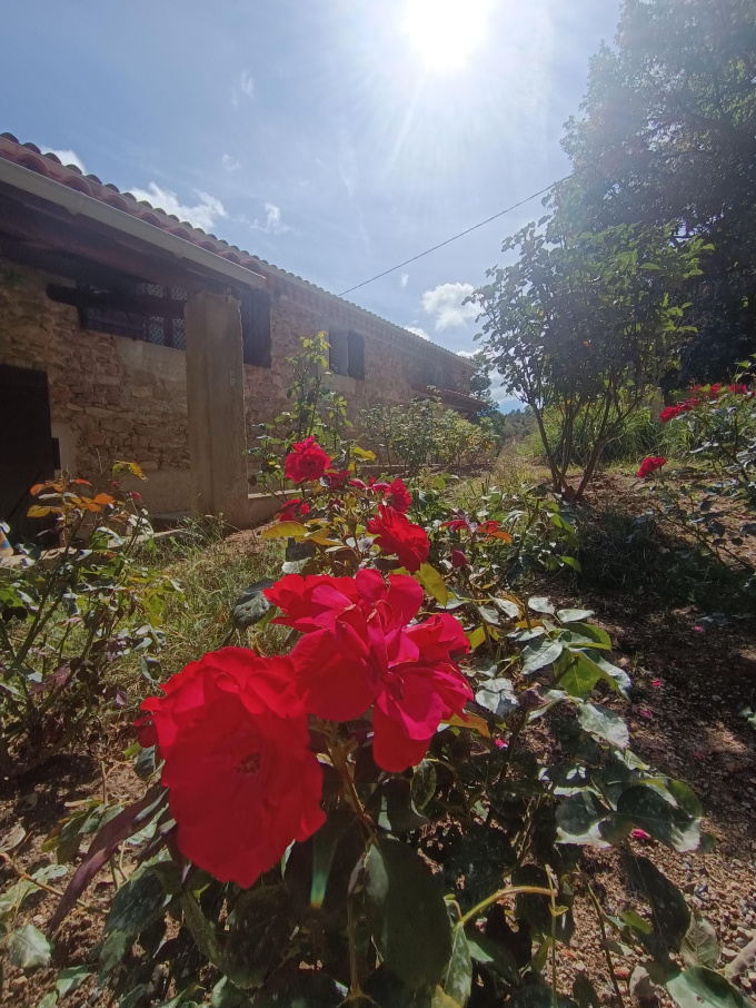 Offres de vente Maison Saint-Julien-le-Roux (07240)