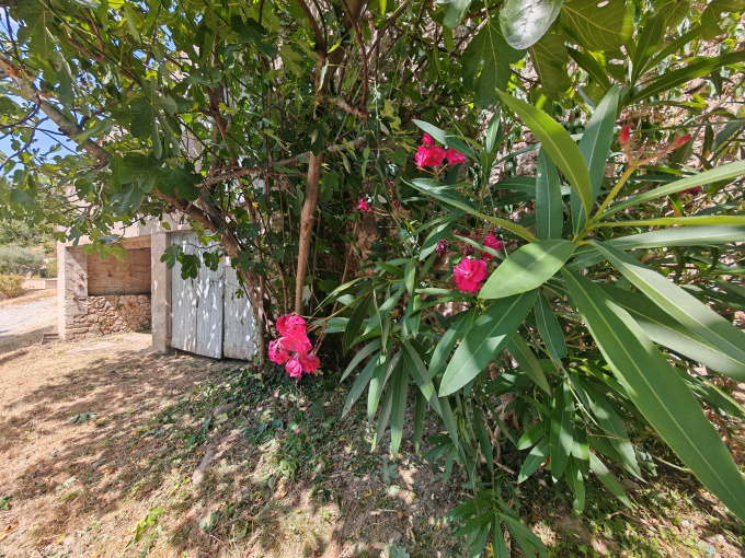 Offres de vente Maison Saint-Maurice-en-Chalencon (07190)
